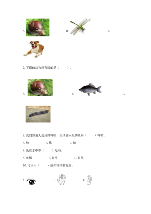 教科版一年级下册科学期末测试卷附参考答案（满分必刷）.docx