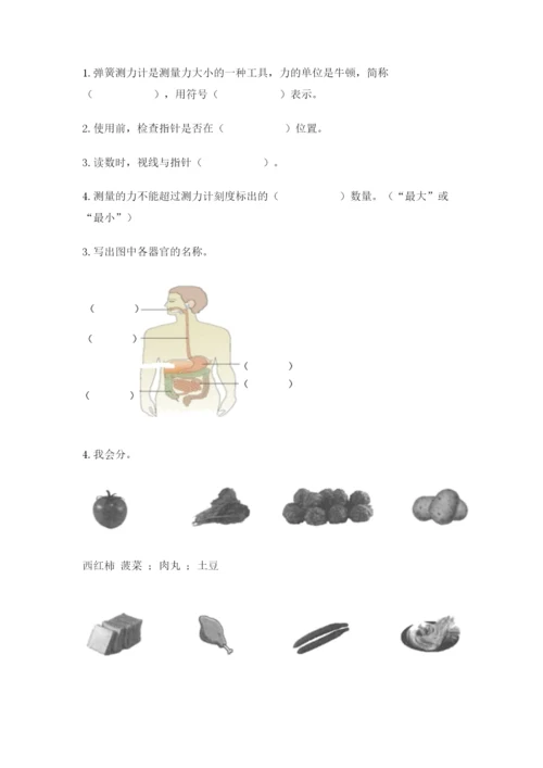 教科版四年级上册科学期末测试卷（典型题）word版.docx