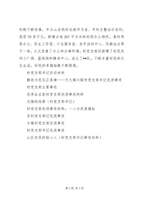 村党支部事迹材料 (4).docx