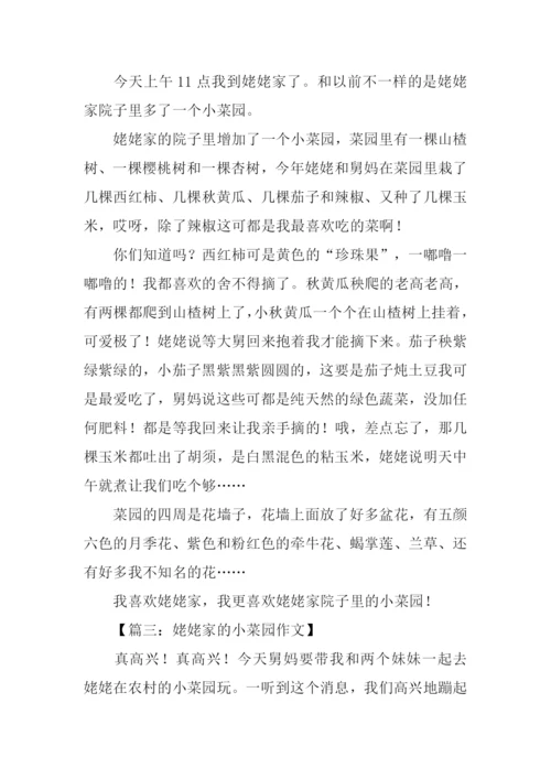 姥姥家的小菜园作文.docx