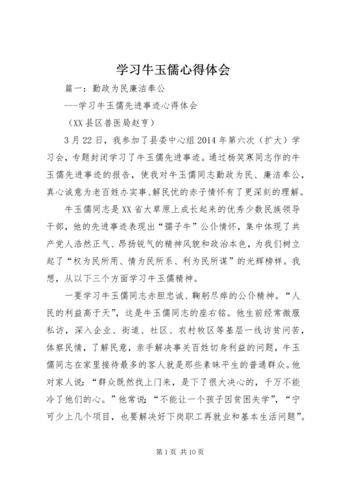 学习牛玉儒心得体会 (2).docx