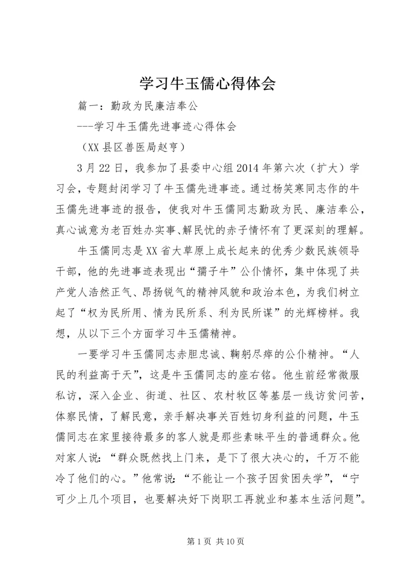 学习牛玉儒心得体会 (2).docx