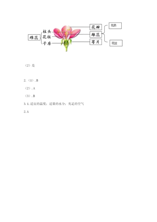 教科版科学四年级下册第一单元《植物的生长变化》测试卷精品【综合题】.docx