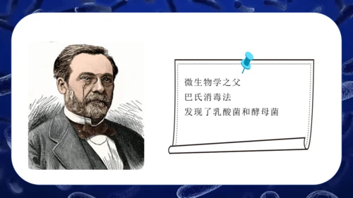 人教版生物七年级上册2.3.2《细菌》课件(共24张PPT)