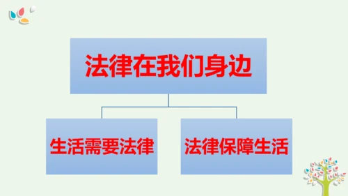 第九课 法律在我们身边复习课件（23张PPT ）