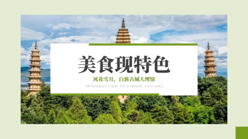 云南瑰定白族介绍通用PPT模板