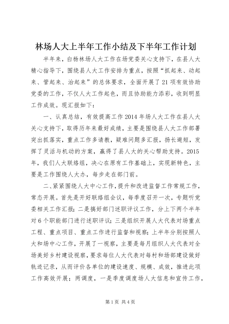 林场人大上半年工作小结及下半年工作计划.docx