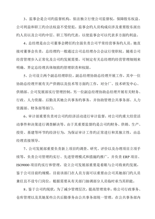 公司组织机构设计专题方案.docx