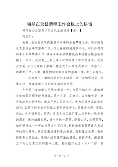 领导在全县禁毒工作会议上的讲话.docx