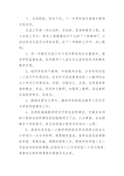 交流教师年度工作总结.docx