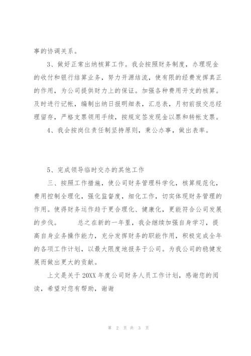 20XX年度公司财务人员工作计划.docx