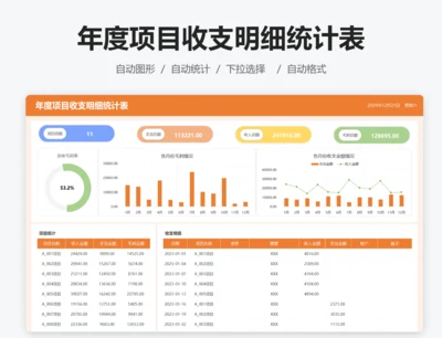 年度项目收支明细统计表