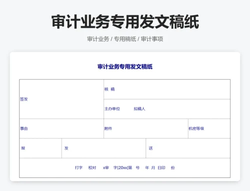 审计报告表