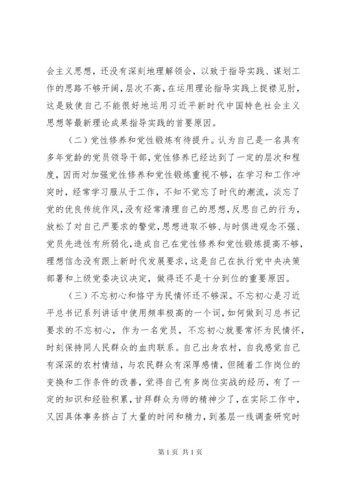 在巡视整改专题民主生活会上的发言提纲【参考范文】.docx