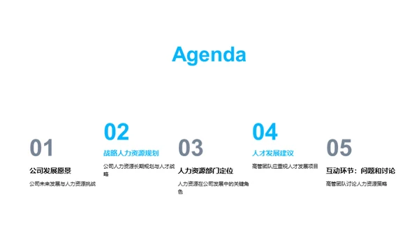 人力资源战略计划