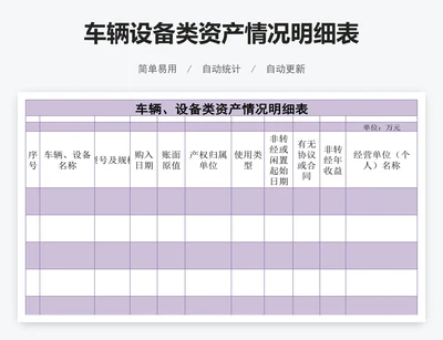 车辆设备类资产情况明细表