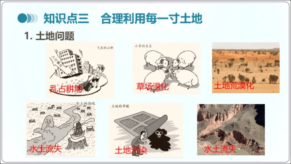 3.2土地资源（课件34张）-【2024秋人教八上地理精简课堂（课件）】