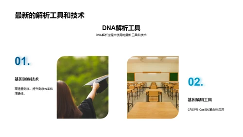 深入解析DNA