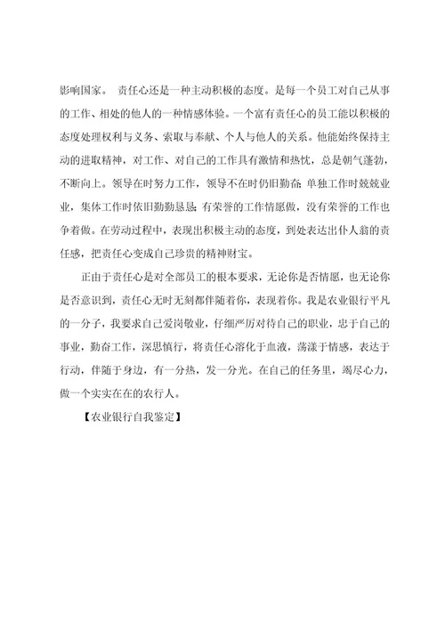 农业银行自我鉴定