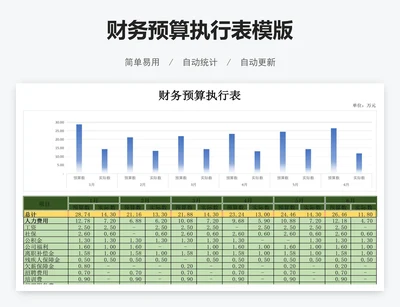 财务预算执行表模版