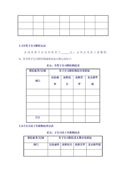 辽宁公司人力资源重点规划