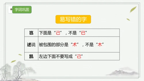 【核心考点】语文部编版五年级上册第八单元复习   课件