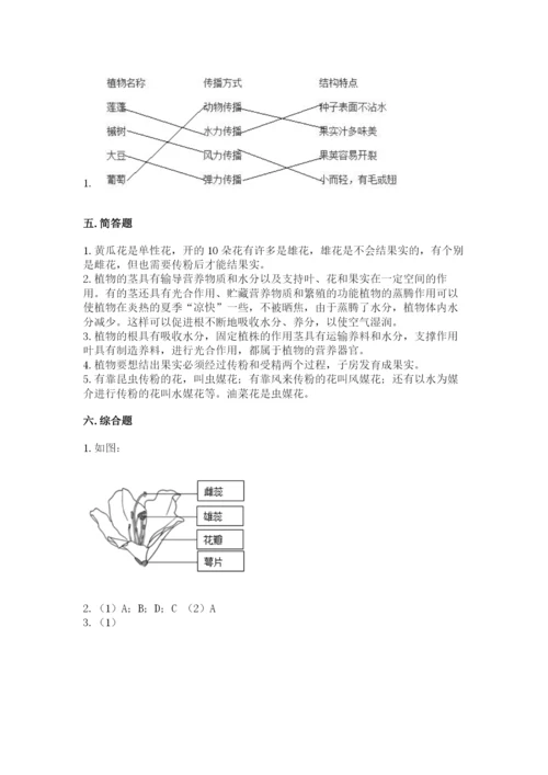 教科版科学四年级下册第一单元《植物的生长变化》测试卷带答案（实用）.docx