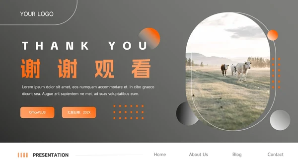 橙色商务实用简约企业市场计划书PPT模板