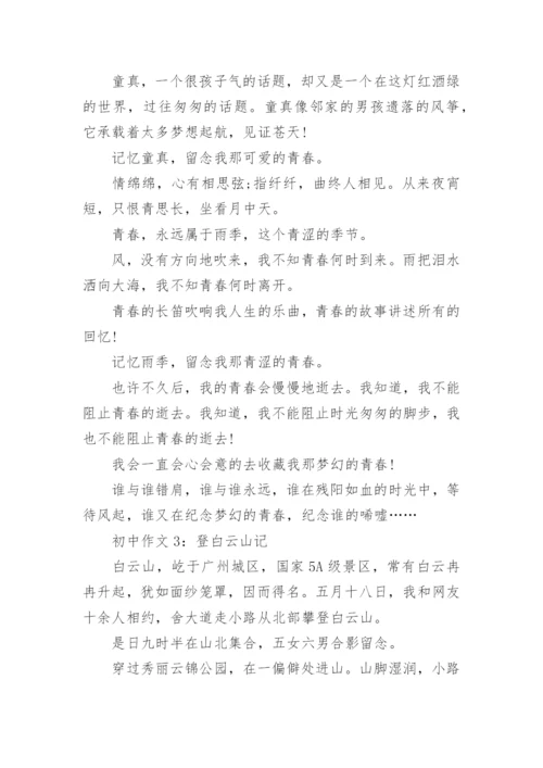 初中语文作文选材技巧.docx