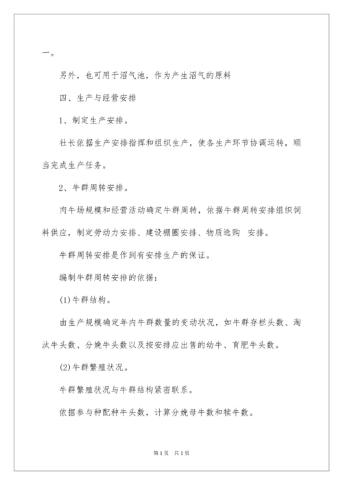 2022养牛创业项目计划书.docx