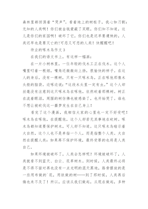 待业的啄木鸟作文.docx