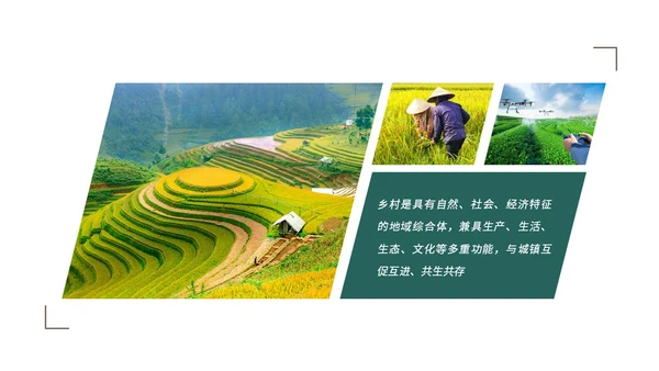 实拍笔刷风格美丽乡村农业介绍新时代农业农村现代化ppt模板