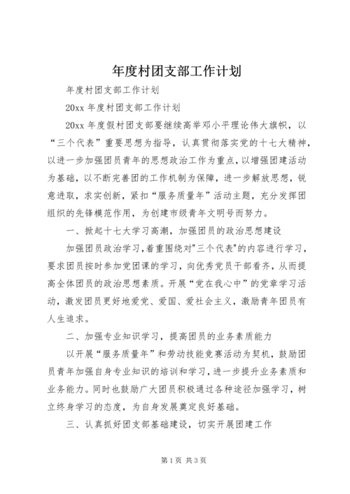 年度村团支部工作计划.docx