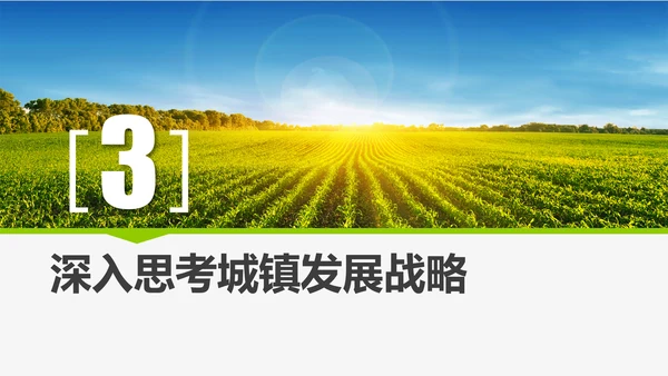 乡村振兴战略重点解读教学PPT课件