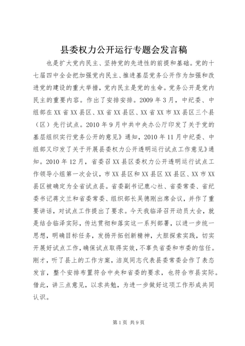 县委权力公开运行专题会发言稿.docx