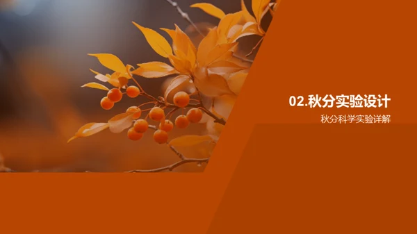 秋分之谜科学探索