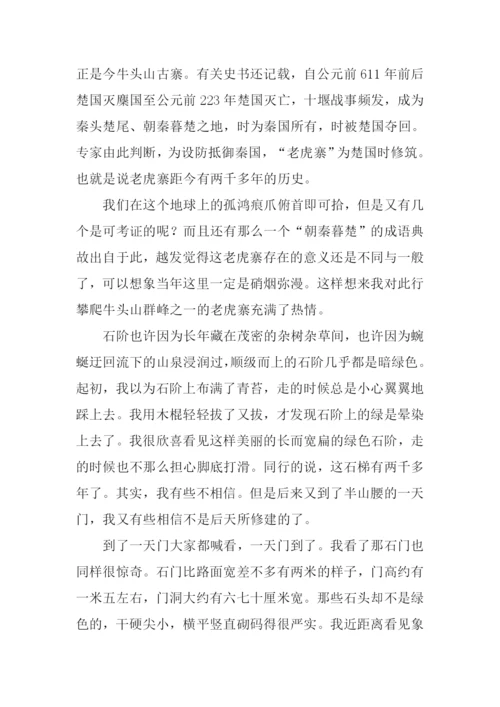 游武义牛头山作文.docx