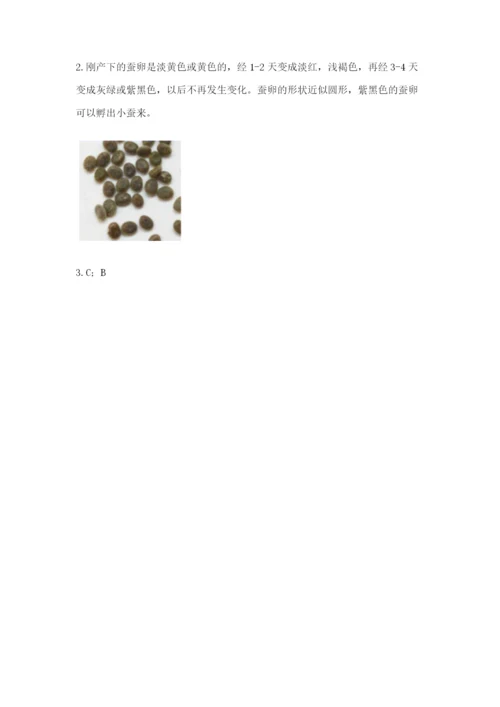 教科版小学科学三年级下册期末测试卷【考点梳理】.docx