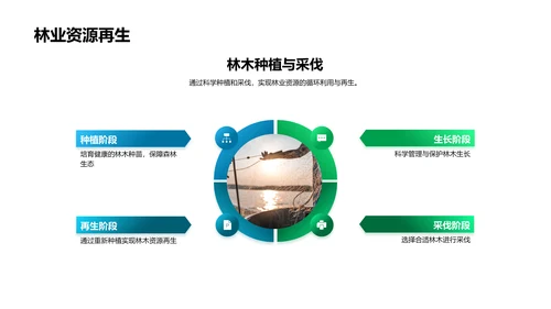 生态林业创业报告PPT模板