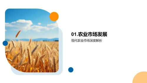 农业市场创新策略