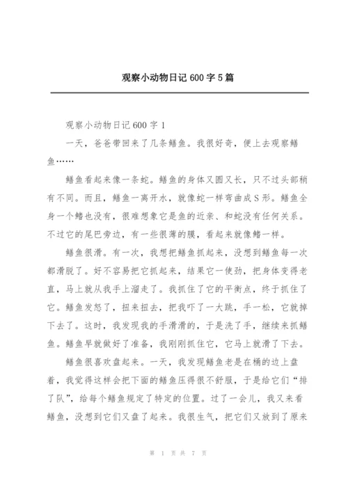 观察小动物日记600字5篇.docx