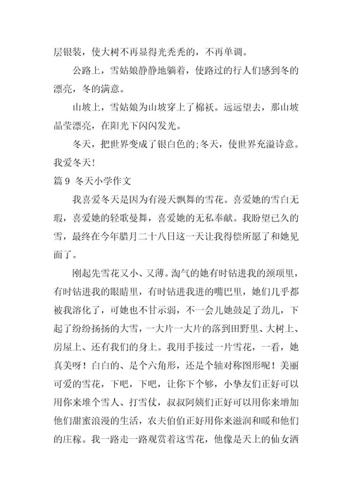 2024年最新乡村的冬天小学作文500字篇