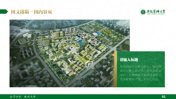 绿金配色安徽医科大学通用PPT模板