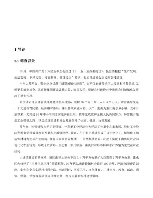 新农村建设专题调研研究报告.docx