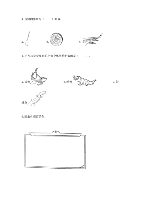 教科版一年级下册科学期末测试卷附答案【研优卷】.docx