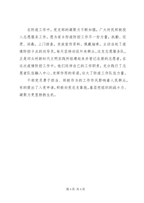 村党总支疫情防控工作先进典型事迹.docx