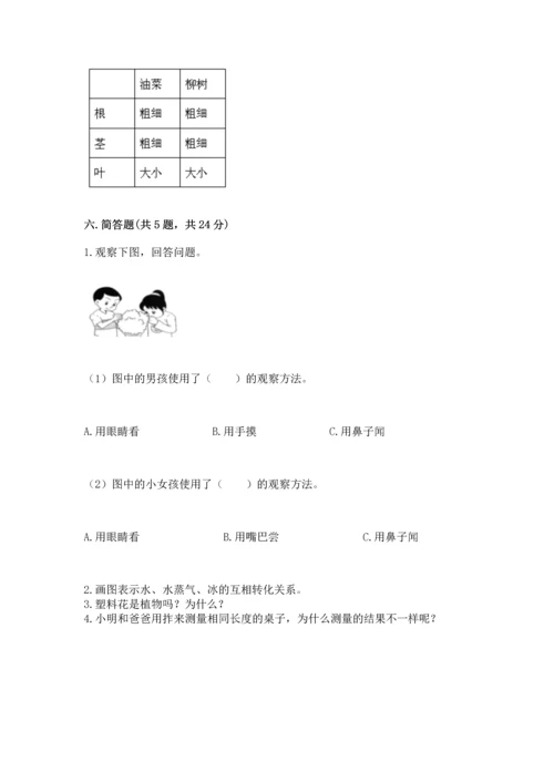 教科版一年级上册科学期末测试卷含完整答案【网校专用】.docx