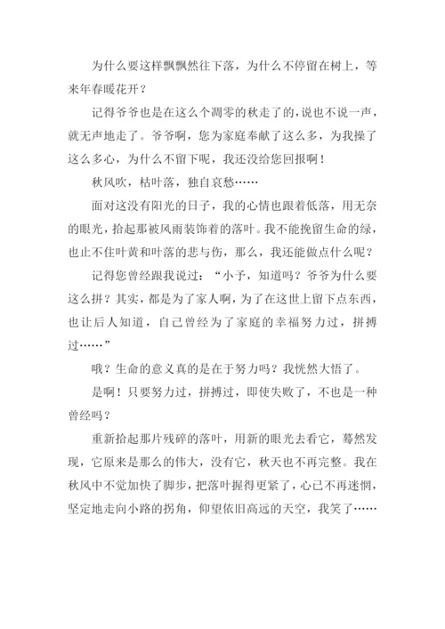 落叶作文800字-10.docx