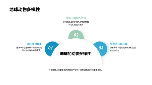 探索神秘之旅