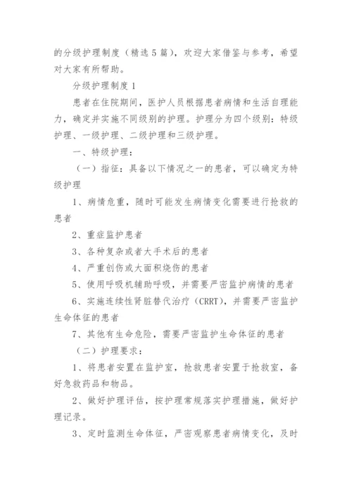 分级护理制度.docx